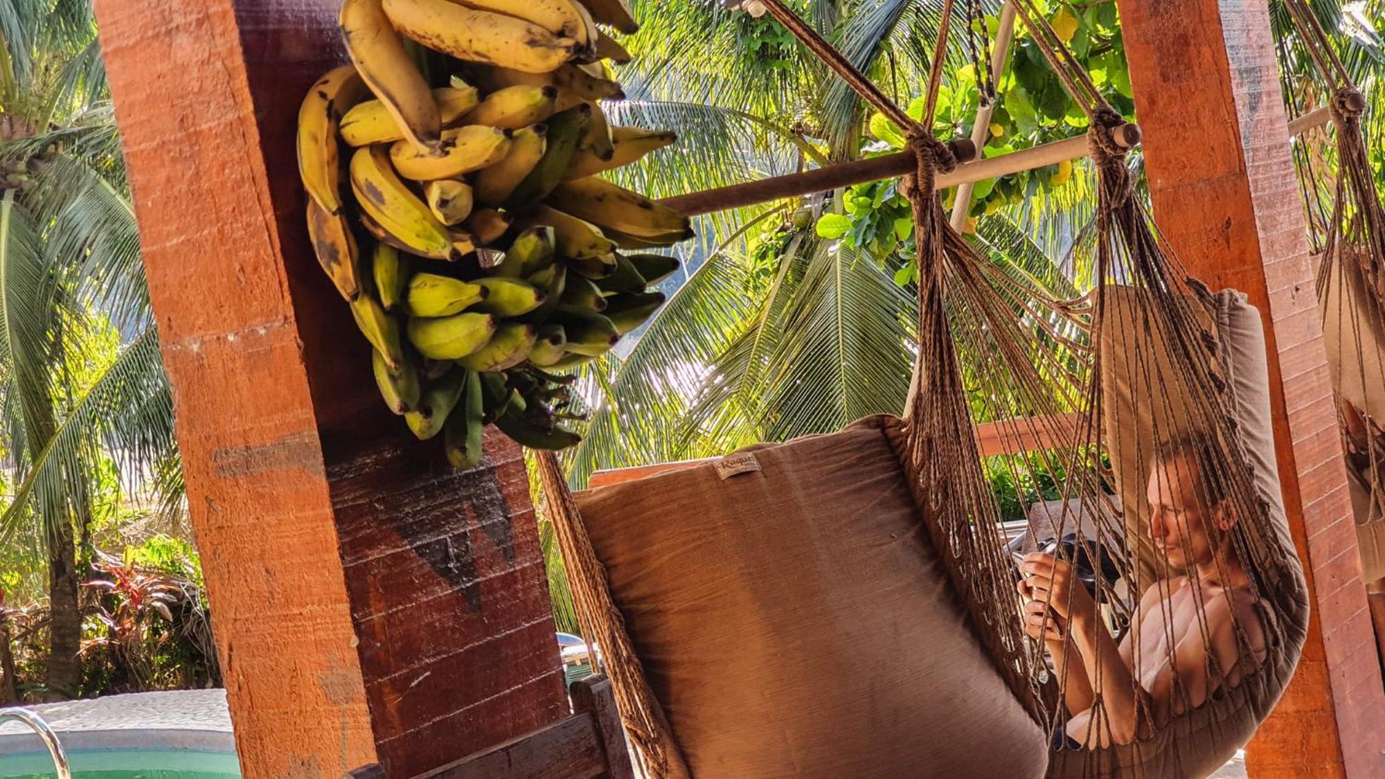 Lobo Hostel - Rurrenabaque (Adults Only) Luaran gambar