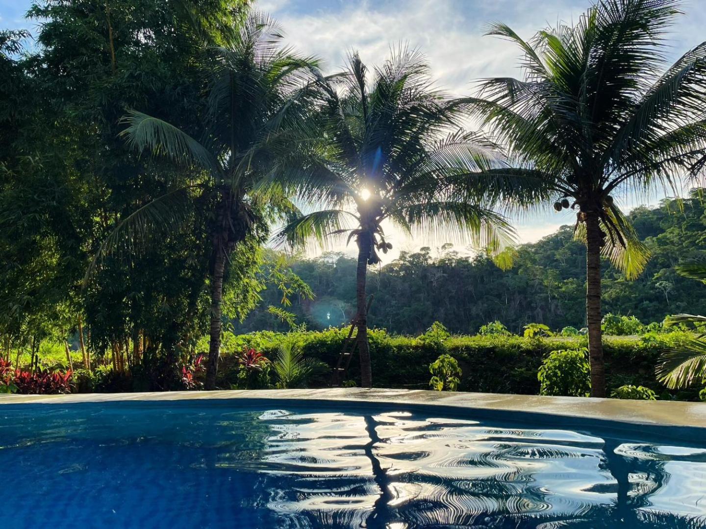Lobo Hostel - Rurrenabaque (Adults Only) Luaran gambar