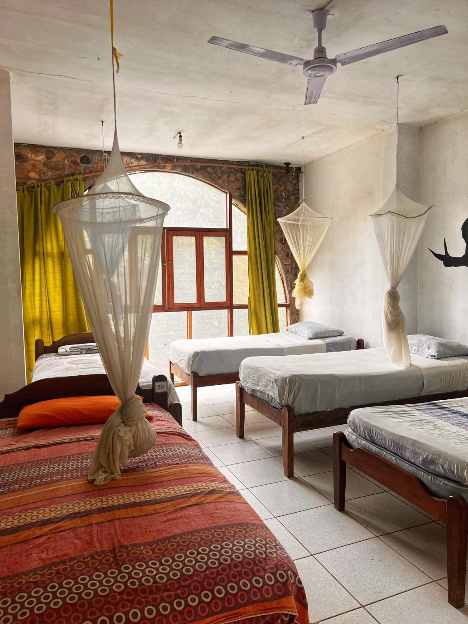 Lobo Hostel - Rurrenabaque (Adults Only) Luaran gambar