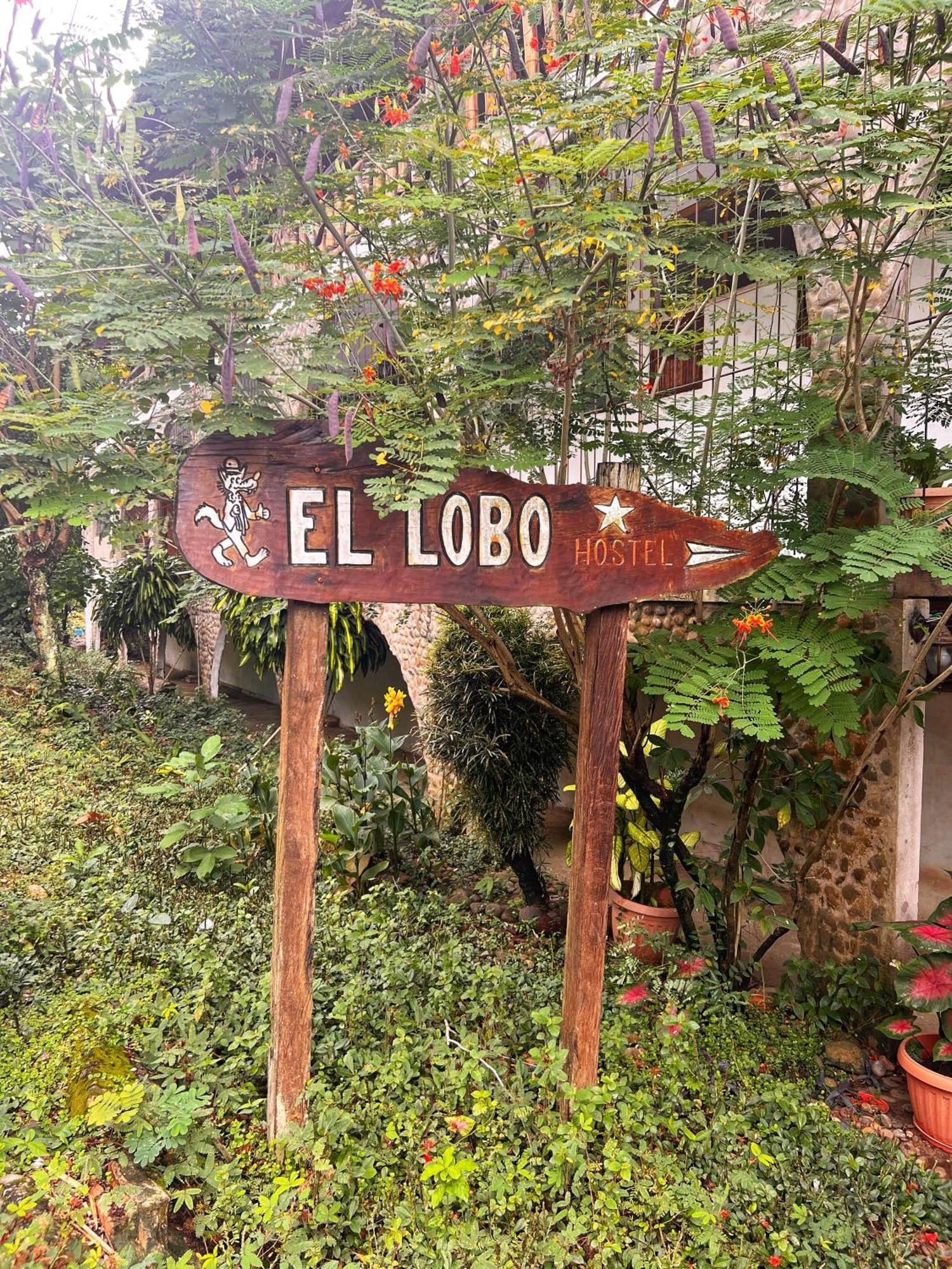 Lobo Hostel - Rurrenabaque (Adults Only) Luaran gambar