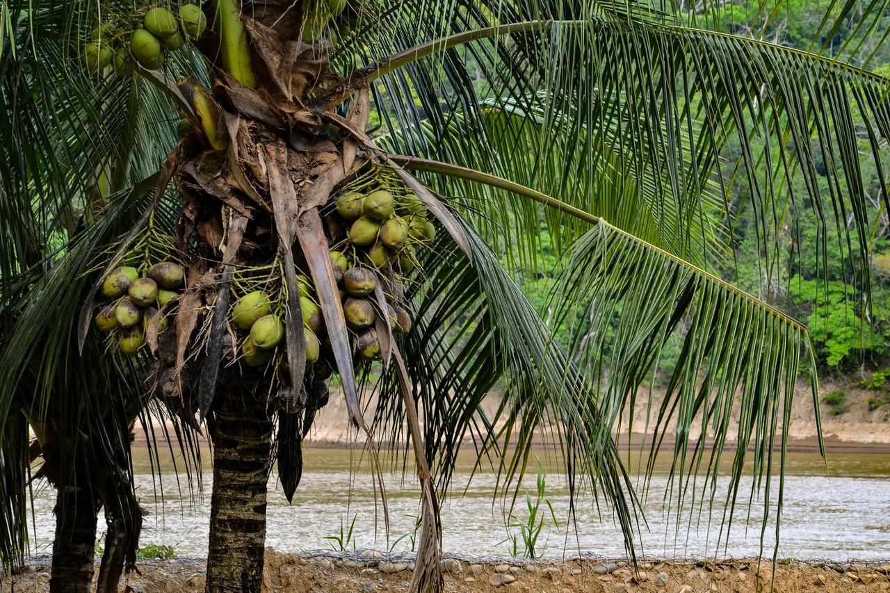 Lobo Hostel - Rurrenabaque (Adults Only) Luaran gambar